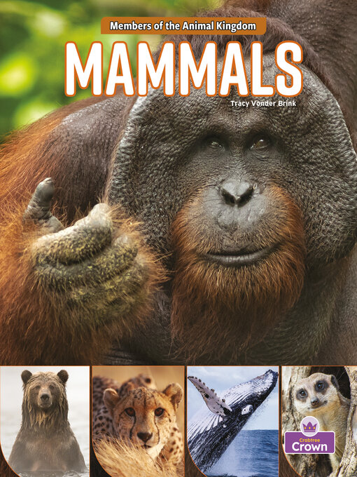 Title details for Mammals by Tracy Vonder Brink - Wait list